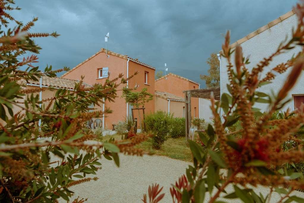 Terres De France - Le Domaine De Bacchus Saint-Christol (Herault)